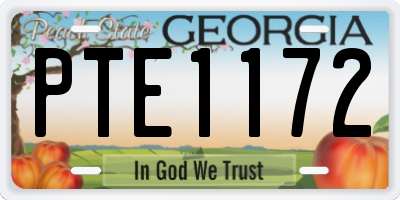 GA license plate PTE1172