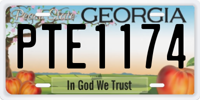 GA license plate PTE1174