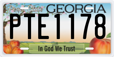 GA license plate PTE1178