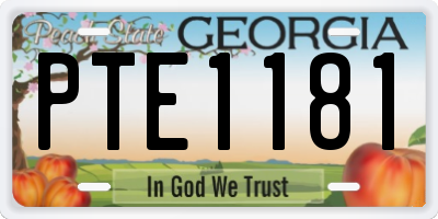 GA license plate PTE1181