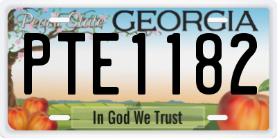 GA license plate PTE1182
