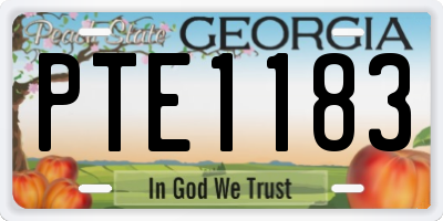 GA license plate PTE1183