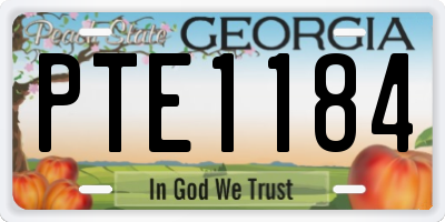 GA license plate PTE1184