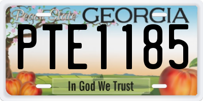 GA license plate PTE1185