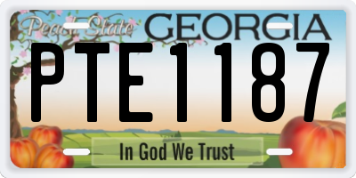 GA license plate PTE1187