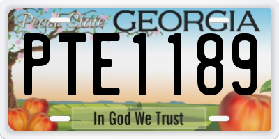 GA license plate PTE1189