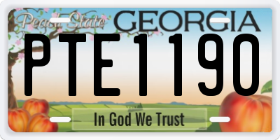GA license plate PTE1190