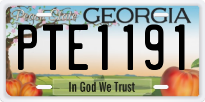 GA license plate PTE1191