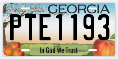 GA license plate PTE1193