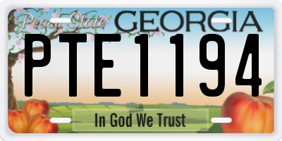 GA license plate PTE1194
