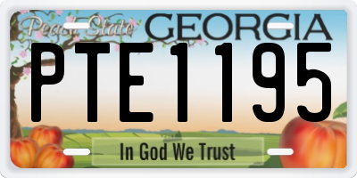 GA license plate PTE1195
