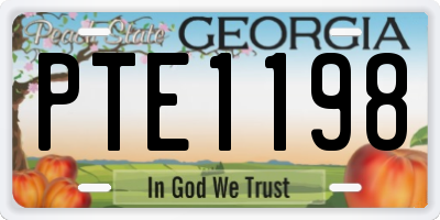 GA license plate PTE1198