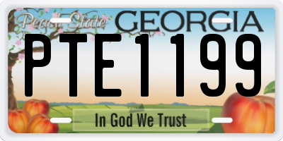 GA license plate PTE1199