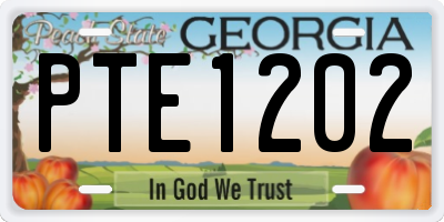 GA license plate PTE1202