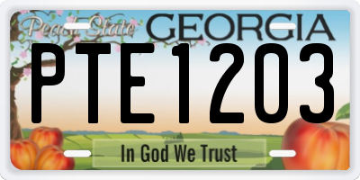 GA license plate PTE1203