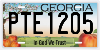 GA license plate PTE1205