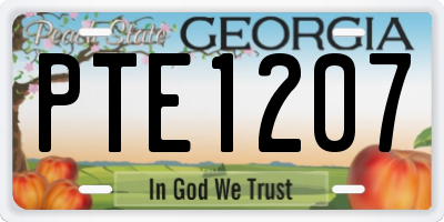 GA license plate PTE1207