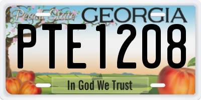 GA license plate PTE1208