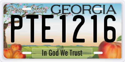 GA license plate PTE1216
