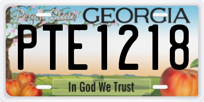 GA license plate PTE1218