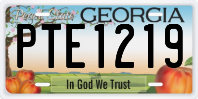 GA license plate PTE1219