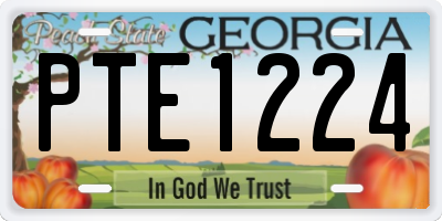 GA license plate PTE1224
