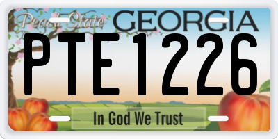 GA license plate PTE1226