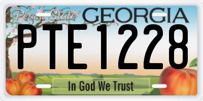 GA license plate PTE1228