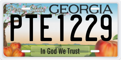 GA license plate PTE1229