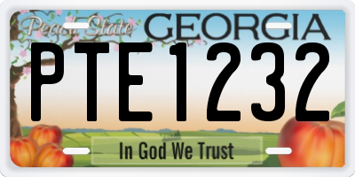 GA license plate PTE1232