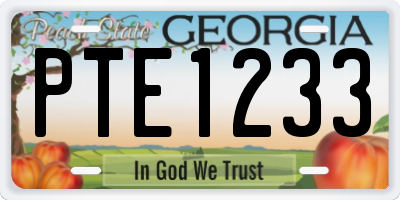 GA license plate PTE1233