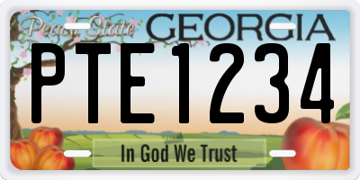 GA license plate PTE1234