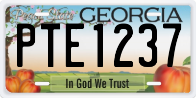 GA license plate PTE1237