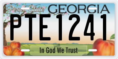 GA license plate PTE1241