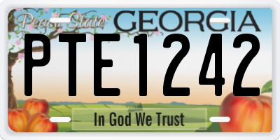GA license plate PTE1242
