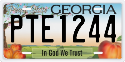 GA license plate PTE1244