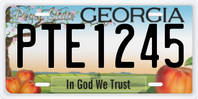 GA license plate PTE1245