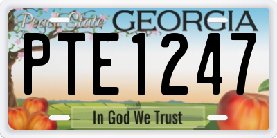 GA license plate PTE1247