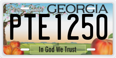 GA license plate PTE1250