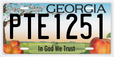 GA license plate PTE1251