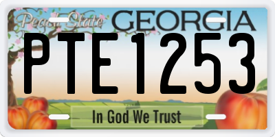GA license plate PTE1253