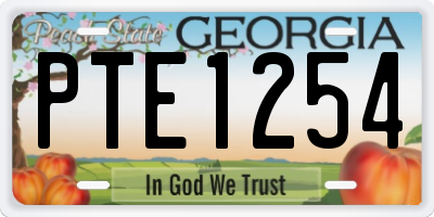 GA license plate PTE1254