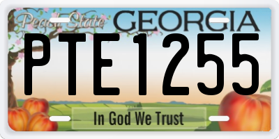 GA license plate PTE1255