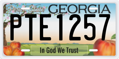 GA license plate PTE1257