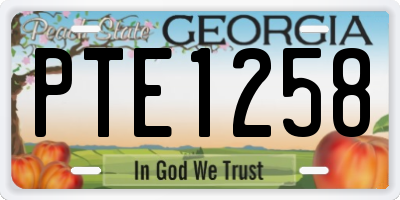GA license plate PTE1258