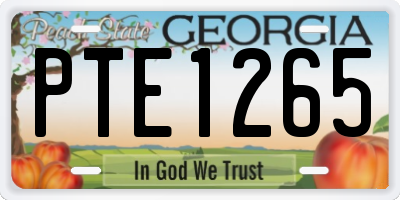 GA license plate PTE1265