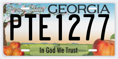 GA license plate PTE1277