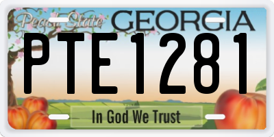 GA license plate PTE1281