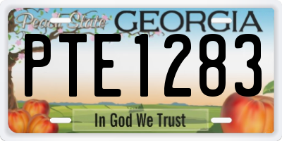 GA license plate PTE1283