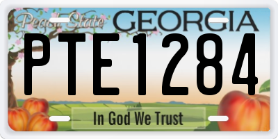 GA license plate PTE1284